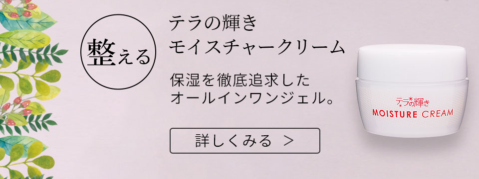 再入荷格安 今すぐ使える300円クーポン有 ポイント1倍 テラの輝きモイスチャークリーム400g+ポンプ容器 只今店長のお薦めプレゼント贈呈中。  へるすぴあ 通販 PayPayモール